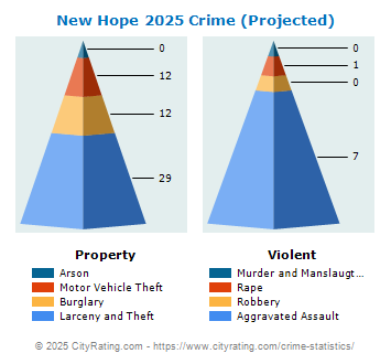 New Hope Crime 2025