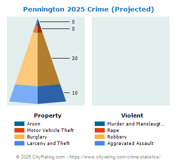 Pennington Crime 2025