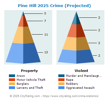 Pine Hill Crime 2025