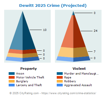 Dewitt Crime 2025