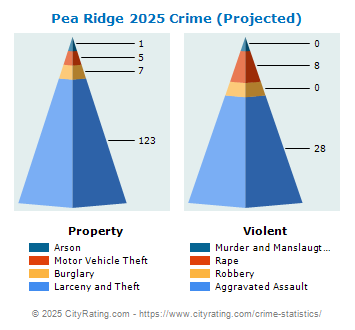 Pea Ridge Crime 2025