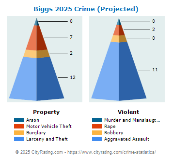 Biggs Crime 2025