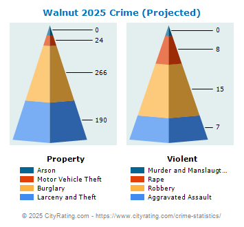 Walnut Crime 2025