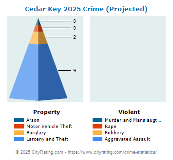 Cedar Key Crime 2025