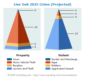 Live Oak Crime 2025