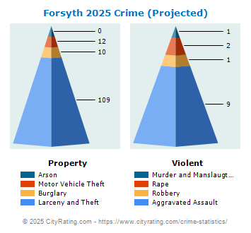 Forsyth Crime 2025