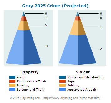 Gray Crime 2025