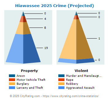 Hiawassee Crime 2025