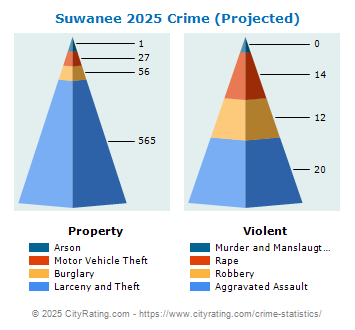 Suwanee Crime 2025