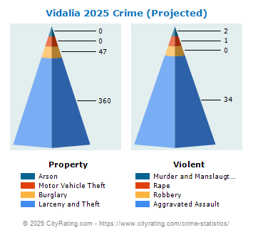 Vidalia Crime 2025