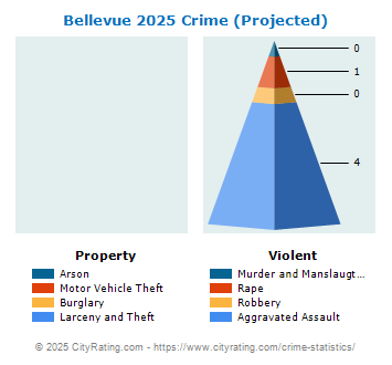 Bellevue Crime 2025