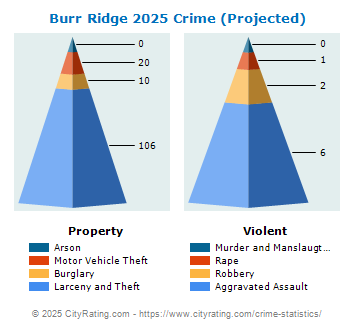 Burr Ridge Crime 2025