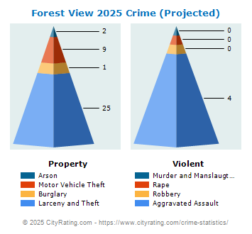 Forest View Crime 2025