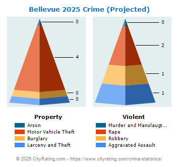 Bellevue Crime 2025