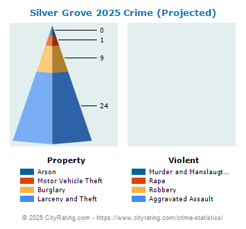 Silver Grove Crime 2025