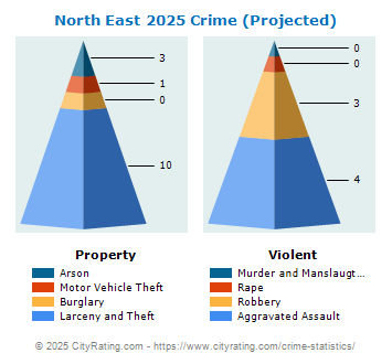 North East Crime 2025