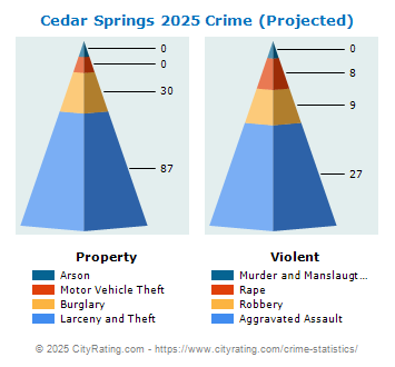 Cedar Springs Crime 2025