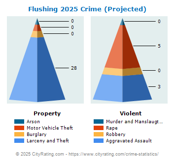 Flushing Crime 2025