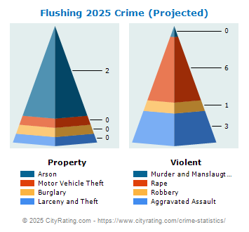 Flushing Township Crime 2025