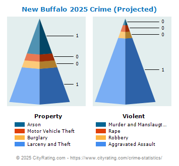 New Buffalo Crime 2025