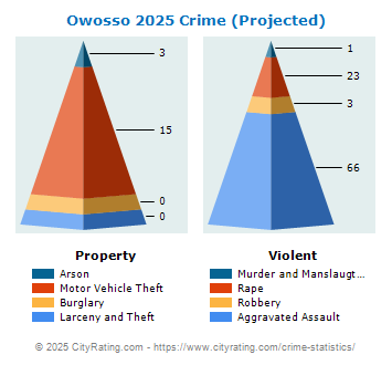 Owosso Crime 2025