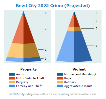 Reed City Crime 2025