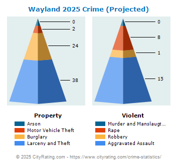 Wayland Crime 2025