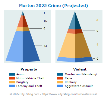 Morton Crime 2025