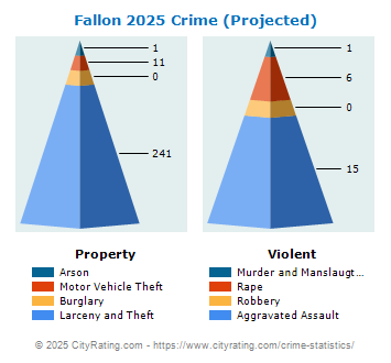 Fallon Crime 2025