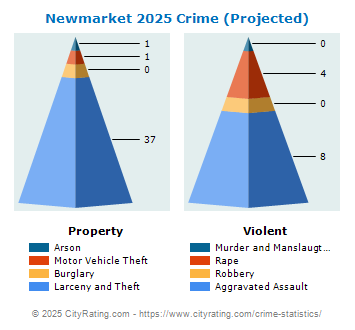 Newmarket Crime 2025