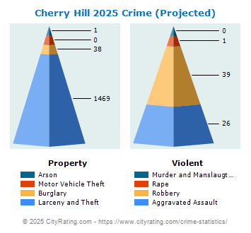 Cherry Hill Township Crime 2025