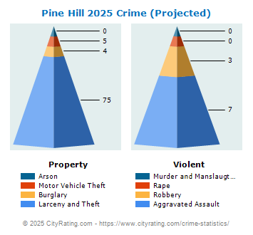 Pine Hill Crime 2025