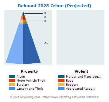 Belmont Village Crime 2025