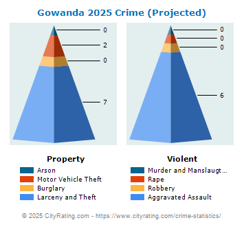 Gowanda Village Crime 2025