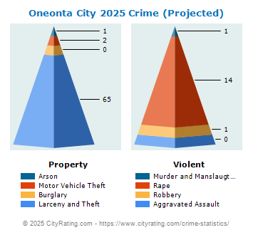 Oneonta City Crime 2025