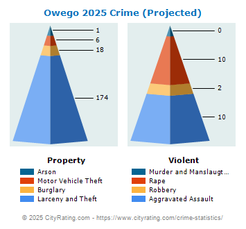 Owego Village Crime 2025