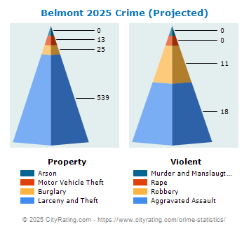 Belmont Crime 2025