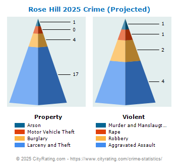 Rose Hill Crime 2025