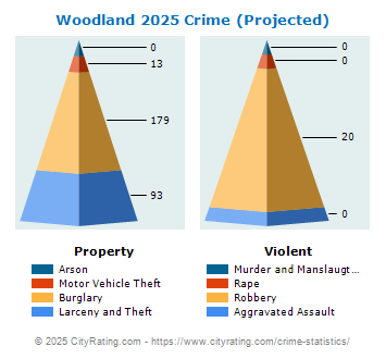 Woodland Crime 2025