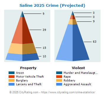 Saline Township Crime 2025