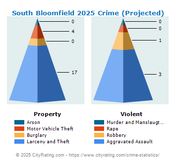 South Bloomfield Crime 2025