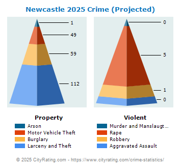 Newcastle Crime 2025