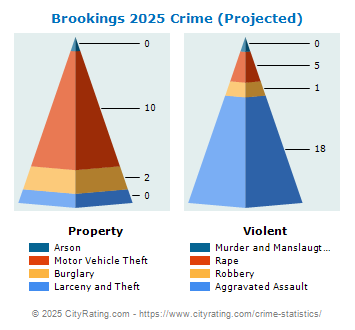 Brookings Crime 2025