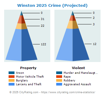 Winston Crime 2025