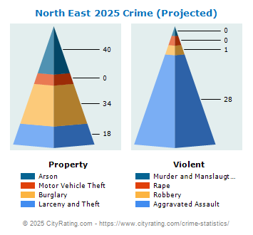 North East Crime 2025