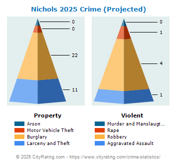 Nichols Crime 2025