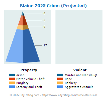 Blaine Crime 2025