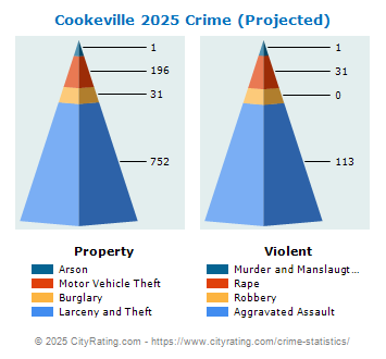 Cookeville Crime 2025