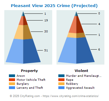 Pleasant View Crime 2025