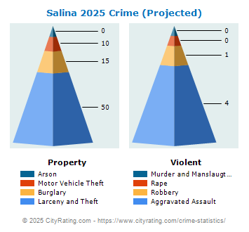 Salina Crime 2025